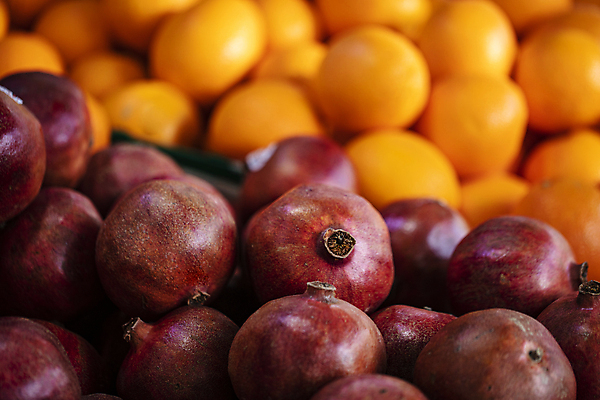 포토 JPG 오렌지 실내 근접촬영 사람없음 아웃포커스 여러개 가득함 석류 국내포토 뷰포인트 다수 과일 촬영기법 내부 파일형식