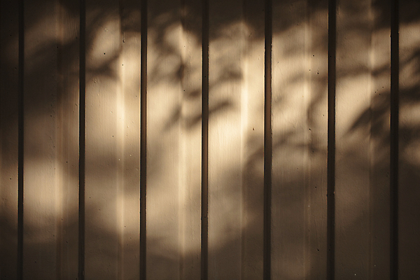 포토 JPG 벽 백그라운드 실내 그림자 사람없음 목재 나뭇결 갈색 분위기 감성 국내포토 나무 컬러 컨셉 재료 내부 파일형식