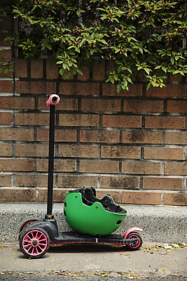 포토 JPG 주간 풍경 사람없음 야외 풀 안전모 헬멧 주차 벽돌담 퀵보드 국내포토 자연요소 식물 교통수단 벽돌 담장 안전장비 보호장비 파일형식