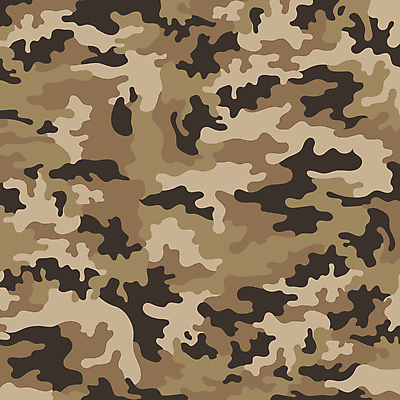 백그라운드 무늬 패턴 일러스트 군대 사람없음 갈색 패턴백그라운드 군복 군용 변장 밀리터리 국내일러스트 AI파일 패션 컬러 유니폼 파일형식 벡터