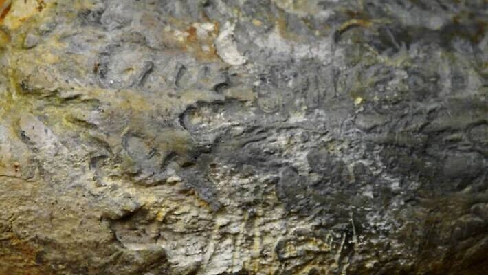 동물 야생동물 바다 탁자 독일 실내 사람없음 검은색 역사 속도 회전 과거 화석 옛날 지질학 쥬라기 4K MOV 해외동영상 클립영상 교육 유럽 컬러 가구 컨셉 내부 동영상 파일형식