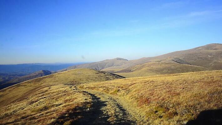 나무 도로 여행 자동차 사람없음 야외 운전 탐험 호주 속도 오지 흙길 MOV 해외동영상 클립영상 식물 길 육상교통 교통시설 모션 흙 오세아니아 동영상 파일형식