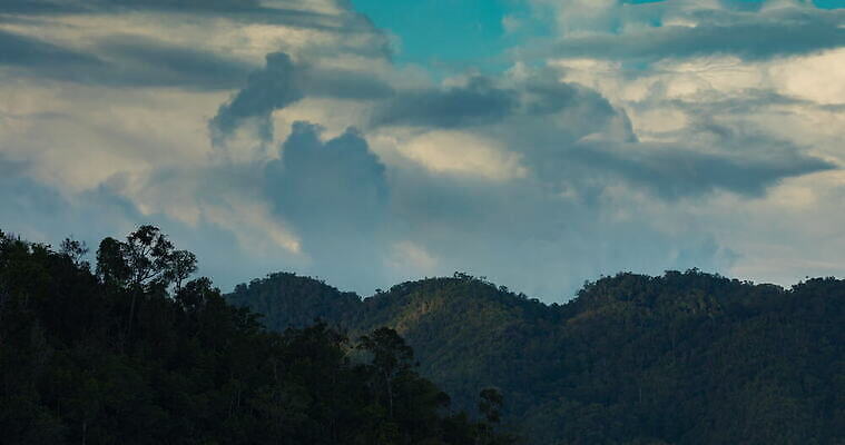 나무 식물 구름 아시아 섬 여행 자연 조류 하늘 산 그림자 풍경 사람없음 파란색 햇빛 일몰 숲 열대우림 언덕 인도네시아 동쪽 동영상 남쪽 다도해 서쪽 이국적 적란운 4K 타임랩스 MOV 해외동영상 클립영상 자연요소 동물 나라 바다 컬러 촬영기법 태양 노을 방향 생태계 파일형식 구름_자연