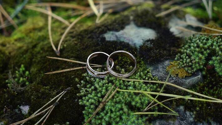 전통 커플 기념일 결혼 2 장신구 자연 결혼식 남편 함께함 선물 사랑 이끼 사람없음 빛 금속 흰색 시골 축하 반지 아내 쌍 황금 고급 은색 숲 보석 심볼 다이아몬드 약혼 백금 제안 MOV 해외동영상 클립영상 감정 컬러 컨셉 관계 재질 이벤트 광석 생태계 약속 동영상 파일형식