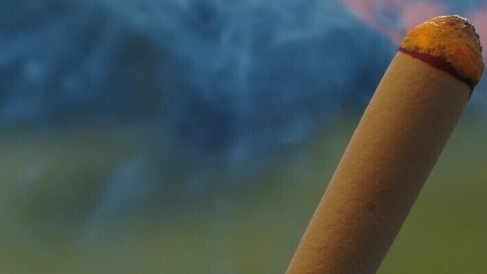 나무 백그라운드 바람 불꽃 경기 사람없음 야외 목재 빨간색 초록색 빛 여행객 정원 에너지 뜨거움 막대기 닫기 연기 모닥불 오브젝트 사냥 문학 연소 방수 블러 점화 타격 특별함 생존 MOV 해외동영상 슬로모션 클립영상 자연요소 식물 스포츠 컬러 컨셉 재료 모션 불 날씨 촬영기법 사람 동영상 파일형식