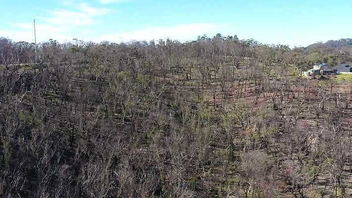 나무 구름 여행 자연 하늘 불 날씨 산 건조 안테나 풍경 사람없음 야외 초록색 여름 파란색 햇빛 갈색 환경 계곡 검은색 뜨거움 호주 숲 땅 언덕 암초 가뭄 동영상 드론 치유 4K MP4 해외동영상 클립영상 자연요소 식물 계절 컬러 통신 태양 오세아니아 생태계 파일형식