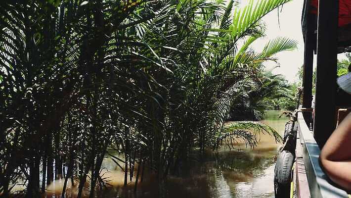 식물 전통 아시아 여행 밭 동양인 사람없음 초록색 강 시골 도시 보트 시장 숲 생태계 문서 베트남 남쪽 메콩강 4K MOV 해외동영상 클립영상 나라 컬러 농업 배_교통 인종 동남아시아 방향 동영상 파일형식