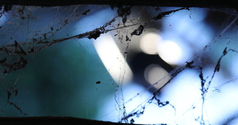 모양 나무 동물 디자인 벽 곤충 백그라운드 패턴 자연 추상 주택 실내 사람없음 장식 환경 디지털 웹 젖음 수확 안개 실 닫기 유령 거미줄 질감 거미 낭비 모기 블러 호러 흉터 4K MOV 해외동영상 클립영상 식물 컨셉 무늬 농업 인터넷 모션 날씨 내부 건물 해충 상처 생태계 공포 동영상 파일형식