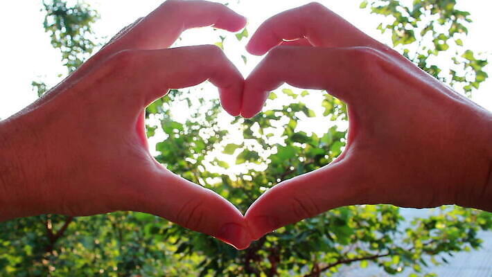 나무 라이프스타일 손 자연 사랑 한명 손짓 야외 햇빛 하트 MOV 해외동영상 클립영상 모양 식물 1 감정 모션 사람 생활 신체부위 태양 생태계 동영상 파일형식