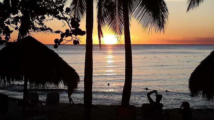 나무 라이프스타일 실루엣 모래 파도 바다 섬 여행 백그라운드 자연 하늘 휴가 휴식 손바닥 사람 사람없음 야외 물 파란색 햇빛 태양 일출 일몰 낭만 만 고급 저녁 휴양지 바하마 이국적 파라다이스 수평선 4K MP4 해외동영상 클립영상 자연요소 식물 손 컬러 컨셉 촬영기법 생활 노을 장소 야간 생태계 동영상 파일형식