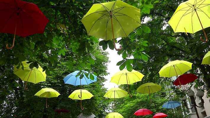 나무 전통 문화 컬러 여행 백그라운드 컨셉 패턴 오렌지 우산 하늘 거리 종류 미술 사람없음 장식 빨간색 초록색 파란색 컬러풀 태양 뷰티 노란색 도시 보호 오브젝트 양산 마드리드 반복 4K HD MP4 해외동영상 클립영상 자연요소 식물 무늬 과일 문화예술 동영상 파일형식