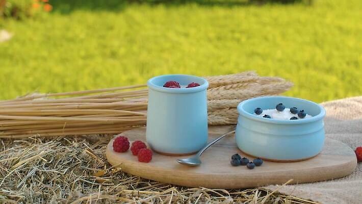 음식 건조 도마 건강 씨앗 사람없음 야외 목재 여름 마을 정원 흰색 시골 신선 닫기 볏짚 아침식사 시리얼 밀 삼베 유기농 블루베리 날것 산딸기 요거트 내추럴 숙성 작살 칼슘 호밀 4K MOV 해외동영상 클립영상 나무 식물 웰빙 계절 컬러 과일 재료 모션 주방용품 유제품 곡류 식사 짚 동영상 파일형식 천_직물