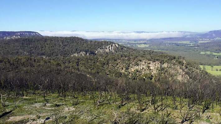 나무 구름 여행 자연 하늘 불 날씨 산 건조 안테나 풍경 사람없음 야외 초록색 여름 파란색 햇빛 갈색 환경 계곡 검은색 뜨거움 호주 숲 땅 언덕 암초 가뭄 동영상 드론 치유 4K MP4 해외동영상 클립영상 자연요소 식물 계절 컬러 통신 태양 오세아니아 생태계 파일형식