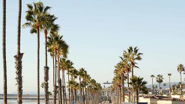 바다 상징 여행 하늘 지붕 리조트 휴가 해변 사람없음 건물 여름 야자수 뷰티 미국 산책로 분위기 캘리포니아 로스앤젤레스 수평선 4K 오션사이드 MP4 해외동영상 클립영상 나무 건축물 계절 길 컨셉 북아메리카 동영상 파일형식