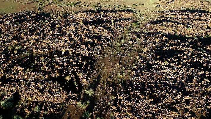 나무 식물 모션 아프리카 자연 건조 안테나 사람없음 야외 환경 황무지 클립 암초 동영상 내추럴 나미비아 남아프리카 생태학 조감도 HD MOV 해외동영상 클립영상 교육 나라 통신 생태계 파일형식