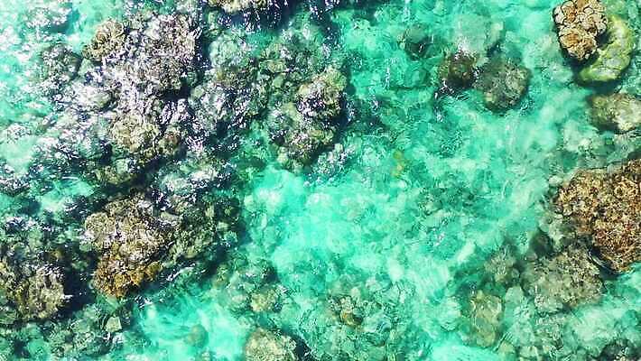 백그라운드 사람없음 초록색 물 바위 4K MP4 해외동영상 클립영상 자연요소 컬러 돌_바위 동영상 파일형식