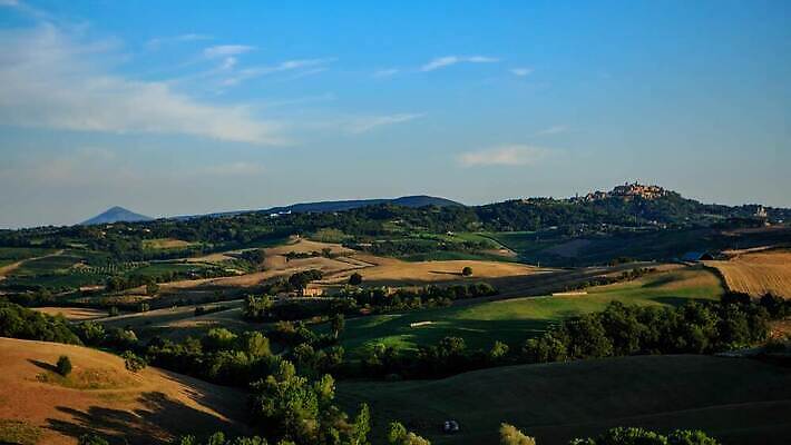 나무 유럽 여행 백그라운드 밭 농업 자연 하늘 주택 파노라마 풍경 초원 사람없음 야외 초록색 여름 농장 농경지 봄 이탈리아 수확 전원 시골 땅 언덕 포도밭 장면 동영상 토스카나 사이프러스 4K 타임랩스 MP4 해외동영상 클립영상 식물 계절 나라 산업 컬러 촬영기법 건물 전기에너지 생태계 파일형식