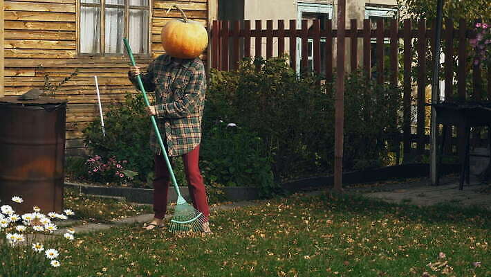 여자 얼굴 백그라운드 컨셉 잎 채소 오렌지 자연 호박 휴가 생물 주택 관리 가면 한명 서기 사람 야외 머리 정원 할로윈 공구 시골 등불 잡기 무서움 두통 쇠스랑 크리스마스이브 호러 4K MOV 해외동영상 클립영상 식물 1 감정 크리스마스 과일 모션 조명 건물 신체부위 도구 질병 생태계 공포 동영상 파일형식