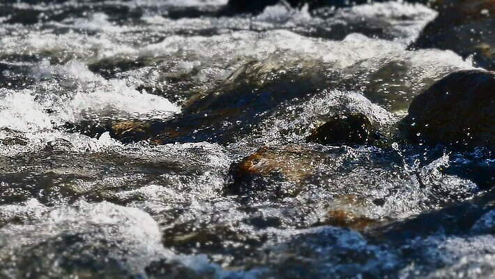 컬러 백그라운드 겨울 패턴 모션 날씨 산 흑백 파노라마 사람없음 야외 목재 가로 물 빛 강 환경 어둠 힘 폭포 회색 흐름 추위 흰색 신선 도시 개울 저녁 숲 위험 시원함 묘사 속도 질감 폭풍 내추럴 생태학 적외선 MOV 해외동영상 클립영상 자연요소 나무 계절 교육 컨셉 무늬 재료 자연 촬영기법 야간 동영상 파일형식