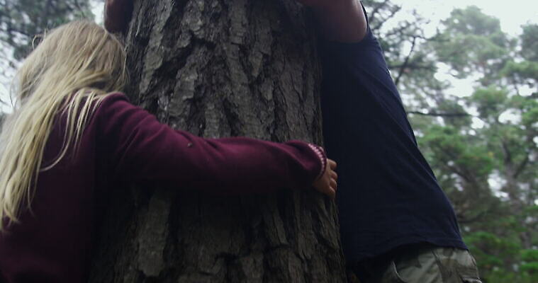 긴머리 여자 남자 딸 초등학생 어린이 중년 가족 포옹 아프리카 자연 서기 야외 두명 뒷모습 부모 금발 아빠 숲 남아프리카 삼림지대 케이프타운 4K MOV 해외동영상 클립영상 학생 헤어스타일 나라 뷰포인트 관계 안기 모션 사람 성인 생태계 동영상 남아프리카공화국 파일형식