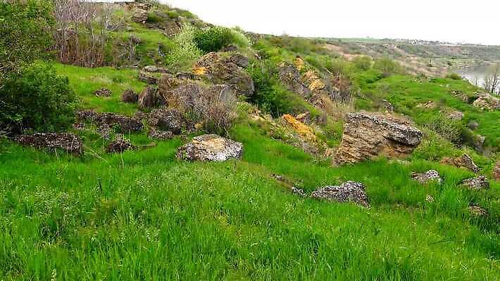 꽃 야생동물 백그라운드 자연 하늘 풍경 경사 사람없음 초록색 물 파란색 강 맑음 봄 가을 저수지 그림 남쪽 스텝 4K MP4 해외동영상 클립영상 자연요소 식물 동물 계절 컬러 날씨 방향 생태계 동영상 파일형식