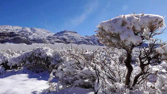 구름 공원 모래 여행 겨울 자국 자연 하늘 휴가 산 건조 파노라마 풍경 사람없음 야외 파란색 계곡 맑음 미국 트래킹 하이킹 사막 흰색 황무지 숲 언덕 캘리포니아 통과 내추럴 요세미티국립공원 전국 절정 4K MP4 해외동영상 클립영상 자연요소 계절 공공시설 컬러 북아메리카 레저 날씨 촬영기법 국립공원 생태계 동영상 파일형식
