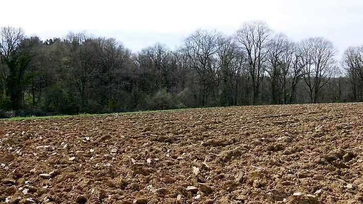 계절 지구 백그라운드 밭 농업 자연 하늘 풍경 사람없음 농장 농경지 갈색 환경 경작 흙 봄 시골 땅 만취 먼지 땅바닥 밭일 쟁기 세련 4K MP4 해외동영상 클립영상 산업 컬러 바닥 농사 생태계 동영상 술취함 파일형식