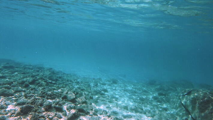 동물 야생동물 바다 컬러 여행 백그라운드 자연 멕시코 어류 사람없음 빨간색 물 여름 파란색 빛 햇빛 태양 뷰티 수중 수영 광선 동굴 산호 아래 사진사 생태계 다이빙 장면 암초 깊이 칸쿤 4K 수중영상 MOV 해외동영상 클립영상 자연요소 계절 북아메리카 수중동물 수상스포츠 자포동물 방향 작가 위치 동영상 수중스포츠 파일형식