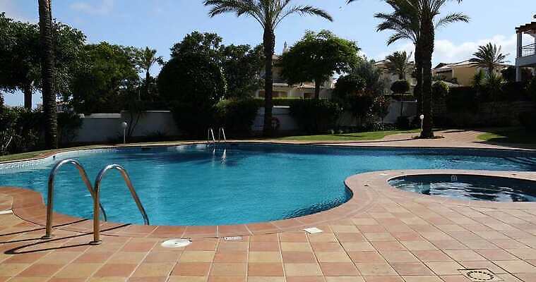 식물 라이프스타일 외관 컨셉 자연 휴가 휴식 수영장 건강 사람없음 야외 초록색 물 여름 파란색 야자수 햇빛 반사 정원 수영 스파 침묵 젖음 투명 당구 휴양지 선베드 뒤뜰 열대기후 터키석 카피스페이스 4K MOV 해외동영상 클립영상 자연요소 나무 계절 컬러 의자 생활 태양 구기 소리 공백 장소 수상스포츠 보석 생태계 동영상 파일형식