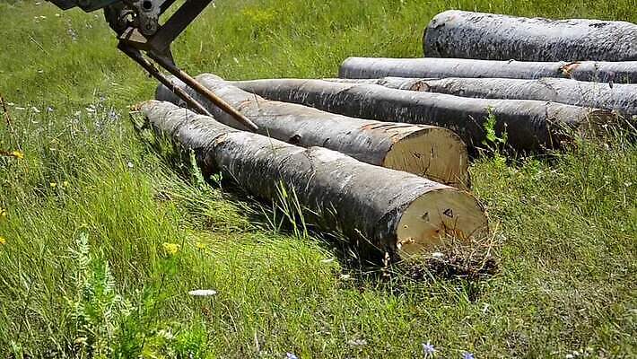 나무 산업 농업 공장 자연 사람없음 목재 쌓기 환경 에너지 트럭 수확 시골 소나무 업무 상품 숲 장작 자르기 천 기중기 준비 날것 통나무 나무껍질 연료 수납 짐차 자원 잡동사니 방앗간 벌목 수목 MOV 해외동영상 클립영상 식물 재료 공업 모션 자동차 껍질 직물 작업 중장비 생태계 동영상 파일형식