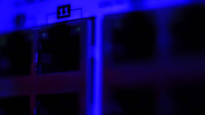 선 컨셉 인터넷 비즈니스 통신 부분 기술 사람없음 파란색 컴퓨터 디지털 자료 장비 정보 그물 네트워크 센터 플러그 전기에너지 연결 접속 속도 전자 철사 시스템 포트 스위치 랜 서버 신발장 인터페이스 네트워킹 MOV 해외동영상 클립영상 컬러 전자제품 에너지 동영상 파일형식