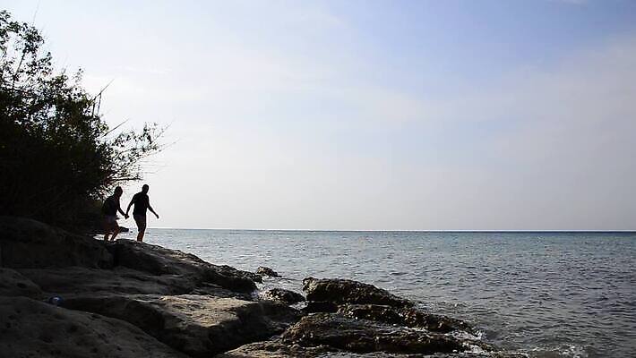 백인 라이프스타일 커플 여자 남자 행복 파도 바다 여행 데이트 장난 관계 자연 남편 휴가 휴식 함께함 사랑 미소 웃음 사람 20대 성인 해변 사람없음 야외 두명 여름 관광지 햇빛 신혼여행 신선 아내 결합 유혹 적재 MOV 해외동영상 클립영상 서양인 계절 감정 결혼 컨셉 표정 청년 생활 태양 생태계 동영상 파일형식