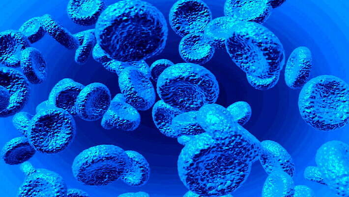 디자인 과학 신체 해부 추상 생물 세포 건강 병원 실험 사람 사람없음 3D 혈액 실험실 바이러스 DNA 묘사 유기농 생물학 미생물 박테리아 동맥 정맥 내추럴 고립 마약 에이즈 MOV 해외동영상 클립영상 웰빙 교육 무늬 의학 질병 생명공학 디지털합성 혈관 동영상 파일형식