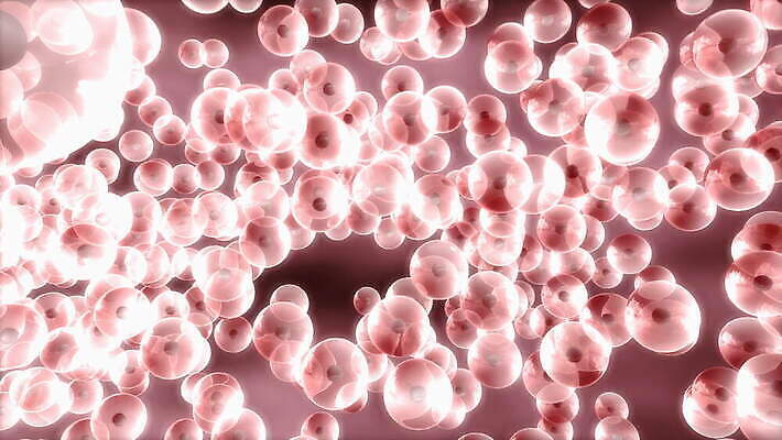 과학 세포 건강 현미경 사람 사람없음 컴퓨터 약 3D 질병 DNA 생물학 미생물 염색체 분열 애니메이션 데이터베이스 유전 셀룰러 4K HD MOV 해외동영상 클립영상 교육 의학 생물 실험기구 전자제품 생명공학 디지털합성 동영상 파일형식