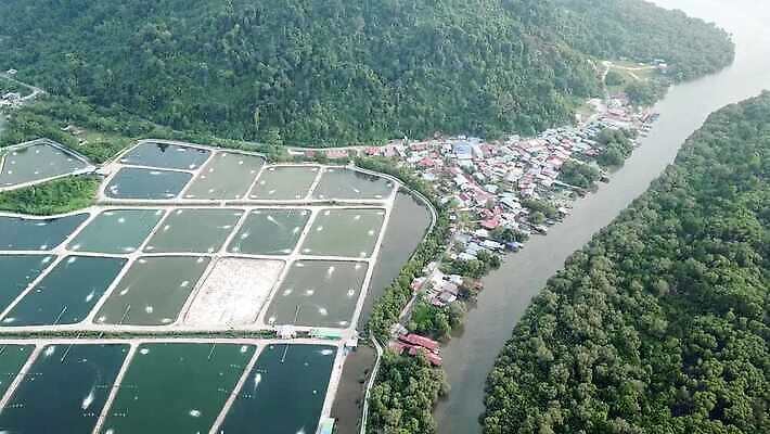 직업 산업 아시아 바다 여행 자연 낚시 주택 사람없음 물 파란색 뷰티 마을 일출 업무 그물 보트 제조 농부 상품 낚시꾼 어장 올가미 말레이시아 4K MOV 해외동영상 클립영상 자연요소 나라 컬러 배_교통 레저 건물 노을 작업 생태계 동영상 파일형식