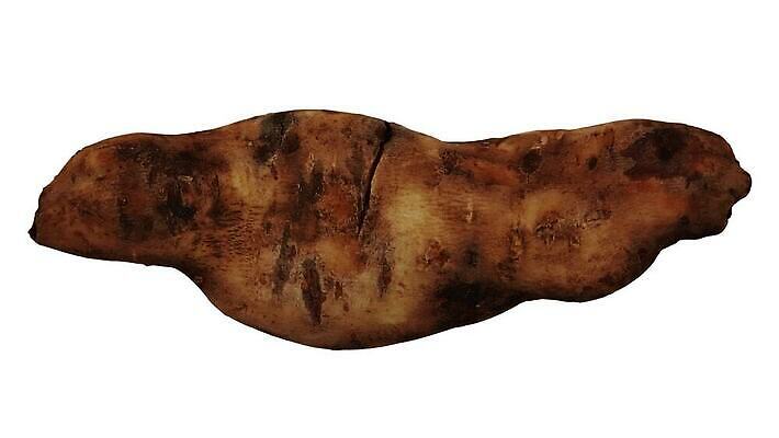 모델 음식 백그라운드 채소 사람없음 가로 농작물 3D 흰색 고리 달콤 오브젝트 회전 만들기 뿌리 고립 돌리기 무한 스캔 완벽 진짜 페루 현실 디테일 MP4 해외동영상 클립영상 컬러 컨셉 농업 모션 남아메리카 맛 디지털합성 동영상 파일형식