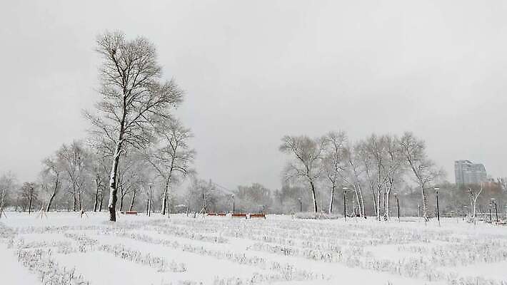 나무 계절 공원 도로 길 조각 여행 겨울 가로등 벤치 자연 하늘 날씨 휴식 파노라마 사람없음 야외 건물 빛 울타리 환경 냉동 얼음 침묵 추위 흰색 램프 도시 눈송이 시원함 버드나무 서리 장면 북쪽 타운 내추럴 미루나무 우크라이나 눈내림 4K MOV 해외동영상 클립영상 자연요소 식물 건축물 공공시설 유럽 컬러 컨셉 의자 교통시설 조명 눈_날씨 촬영기법 담장 소리 방향 생태계 동영상 파일형식