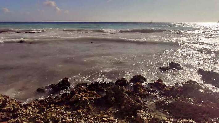 나무 모래 파도 바다 섬 여행 백그라운드 태국 자연 하늘 휴가 휴식 멕시코 손바닥 사람없음 물 파란색 태양 신혼여행 하와이 발리 보라카이 쿠바 동영상 몰디브 공화국 바하마 이국적 칸쿤 파라다이스 4K HD MP4 해외동영상 클립영상 자연요소 식물 손 나라 아시아 컬러 결혼 컨셉 북아메리카 필리핀 미국 중앙아메리카 생태계 인도네시아 파일형식