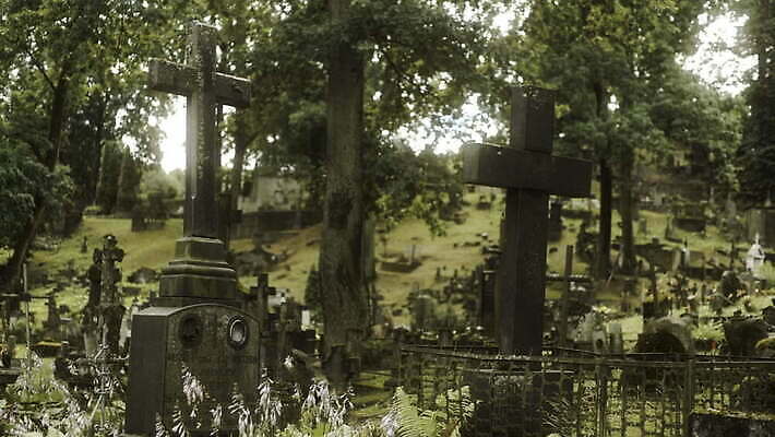 나무 유럽 십자가 스웨덴 사람없음 할로윈 죽음 무덤 잡기 유령 무서움 땅 비석 묘사 러시아 신성 10월 깊이 리투아니아 소비에트 장례식 오싹 4K MOV 해외동영상 클립영상 식물 감정 나라 모션 북유럽 날짜 동영상 파일형식