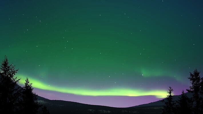 나무 별 백그라운드 크리스마스 캐나다 겨울 자연 바람 휴가 스웨덴 노르웨이 핀란드 사람없음 초록색 파란색 컬러풀 태양 우주 추위 안개 시간 분위기 숲 언덕 러시아 북극해 4K 타임랩스 설정숏 MOV 해외동영상 클립영상 자연요소 식물 계절 기념일 유럽 바다 컬러 컨셉 북아메리카 날씨 촬영기법 북유럽 생태계 동영상 파일형식
