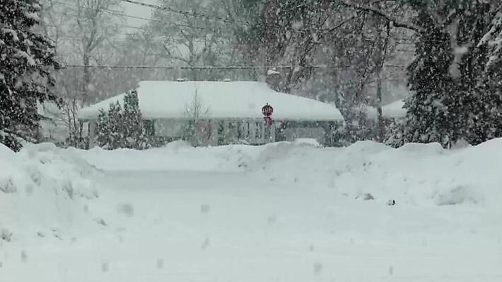 나무 계절 도로 조각 겨울 자연 바람 날씨 거리 주택 사람없음 야외 환경 냉동 얼음 추위 덮개 흰색 도시 보행로 위험 지역 폭풍 타운 이웃 눈보라 축적 심각 엘리먼트 폭설 MP4 해외동영상 클립영상 자연요소 식물 길 컬러 컨셉 교통시설 눈_날씨 건물 뚜껑 자연재해 생태계 동영상 파일형식