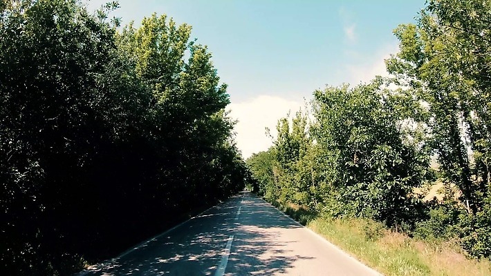 나무 식물 계절 공원 도로 길 선 스포츠 여행 백그라운드 교통시설 자동차 자연 거리 풍경 사람없음 야외 목재 초록색 여름 파란색 태양 환경 맑음 운전 시골 고속도로 터널 숲 아스팔트 장면 내추럴 방법 1인칭시점 비어있는 4K MP4 해외동영상 클립영상 레이스천 자연요소 시선 공공시설 육상교통 컬러 교통 재료 모션 날씨 직물 시설 생태계 동영상 파일형식