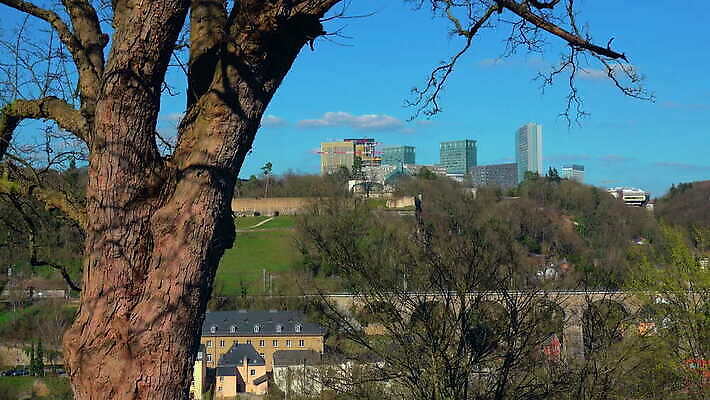 나무 여행 건축양식 자연 하늘 사람없음 야외 건물 관광지 사무실 고층빌딩 고요 기차 비교 언덕 룩셈부르크 4K 락다운 MOV 해외동영상 클립영상 식물 건축물 건축 육상교통 컨셉 비즈니스 대중교통 빌딩 생태계 동영상 서유럽 파일형식