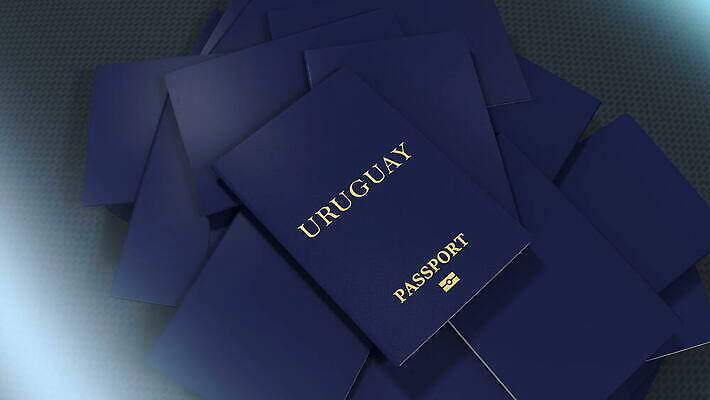 여행 사람 사람없음 문서 여권 신분 우표 우루과이 정부 이민 국경 4K MOV 해외동영상 클립영상 이동 남아메리카 동영상 파일형식