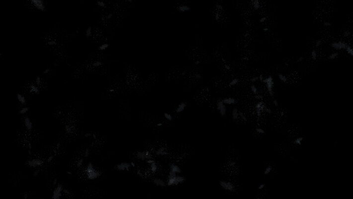 디자인 계절 백그라운드 크리스마스 겨울 패턴 창문 자연 유리 벽지 추상 프레임 미술 사람없음 그래픽 장식 물 파란색 빛 우주 냉동 얼음 어둠 봄 추위 흰색 투명 액체 우아함 야간 저녁 시원함 크리스탈 남극 묘사 질감 빙하 서리 천문학 고립 엘리먼트 4K MOV 해외동영상 클립영상 자연요소 교육 기념일 컬러 컨셉 무늬 재질 문화예술 광석 극지방 생태계 동영상 파일형식