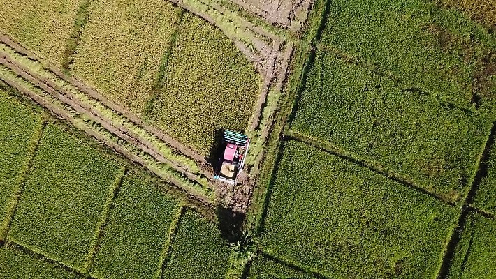 식물 산업 선 백그라운드 패턴 밭 농업 공장 자동차 태국 자연 씨앗 풍경 사람없음 초록색 농작물 농장 농경지 기계 흙 운전 수확 시골 작업 땅 질감 회전 날것 탱크 트랙터 엔진 밀짚 내추럴 돌리기 드론 땅바닥 전력질주 조감도 줄서기 4K MOV 해외동영상 클립영상 아시아 육상교통 컬러 무늬 공업 모션 바닥 짚 농기계 생태계 특수차량 동영상 파일형식