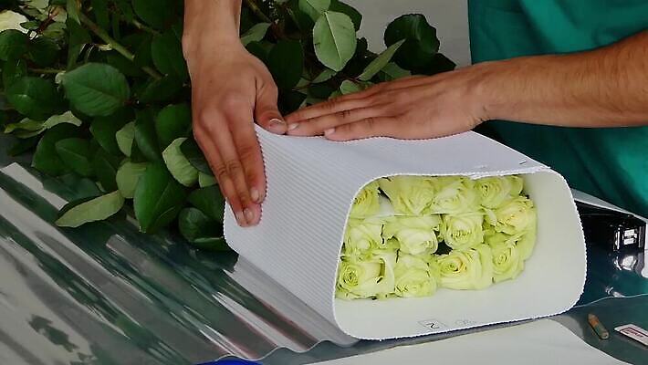 식물 디자인 꽃 산업 종이 꽃다발 꽃무늬 농업 교통시설 자연 노동자 실내 관리 장식 농작물 장미 노란색 세일 쌓기 정원 봄 수확 성장 덮개 벚꽃 흰색 그룹 시장 스테이플러 다발 창고 무역 준비 제비 짐싸기 방법 양피지 온실 줄서기 많음 막 MP4 해외동영상 클립영상 직업 계절 컬러 교통 컨셉 무늬 모션 조류 내부 사무용품 뚜껑 시설 생태계 동영상 파일형식