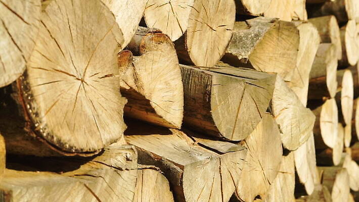 나무 산업 자연 사람없음 야외 목재 갈색 쌓기 환경 에너지 시골 거친 숲 장작 천 질감 통나무 연료 수납 잡동사니 내추럴 벌목 수목 개조 MOV 해외동영상 클립영상 식물 컬러 재료 모션 직물 생태계 동영상 파일형식