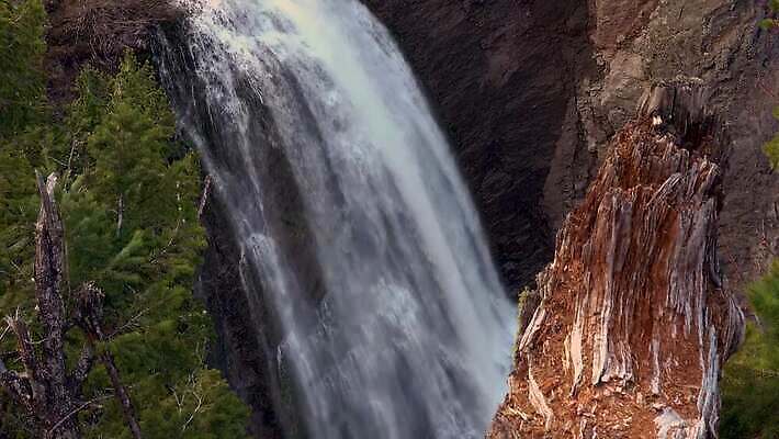 나무 자연 산 사람없음 야외 물 강 골짜기 폭포 흐름 신선 개울 숲 삼림지대 워싱턴 전국 지질학 로키산맥 4K MP4 해외동영상 클립영상 자연요소 식물 교육 컨셉 미국 생태계 동영상 파일형식