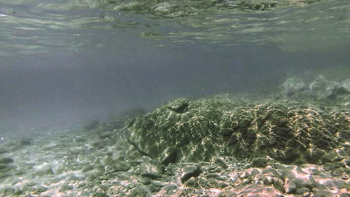 동물 야생동물 바다 컬러 여행 백그라운드 자연 멕시코 어류 사람없음 빨간색 물 여름 파란색 빛 햇빛 태양 뷰티 수중 수영 광선 동굴 산호 아래 사진사 생태계 다이빙 장면 암초 깊이 칸쿤 4K 수중영상 MOV 해외동영상 클립영상 자연요소 계절 북아메리카 수중동물 수상스포츠 자포동물 방향 작가 위치 동영상 수중스포츠 파일형식